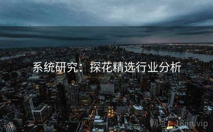系统研究：探花精选行业分析