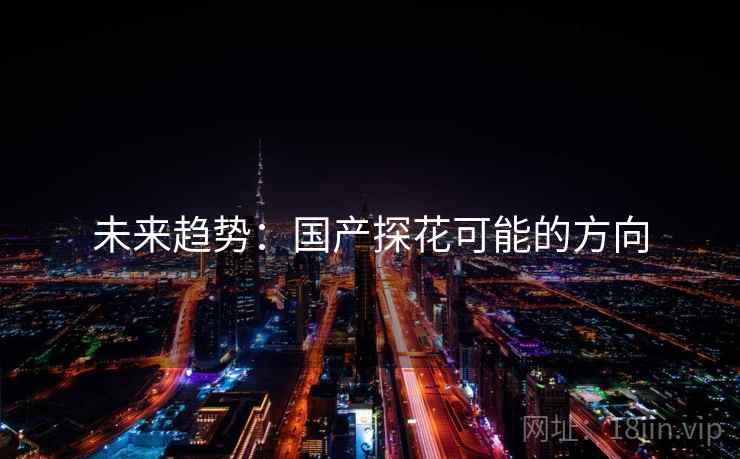 未来趋势：国产探花可能的方向