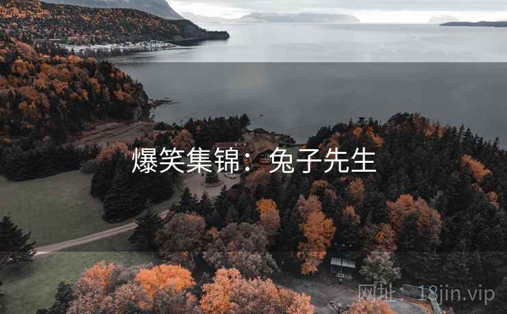 爆笑集锦：兔子先生