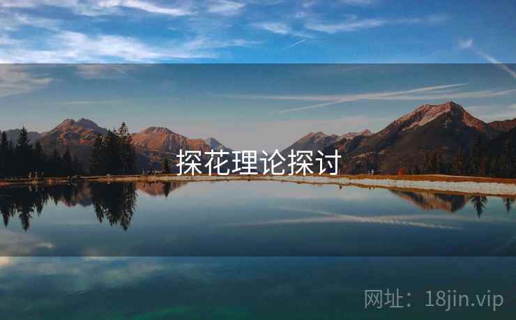 探花理论探讨