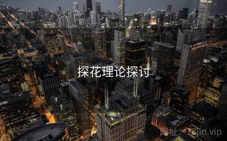 探花理论探讨
