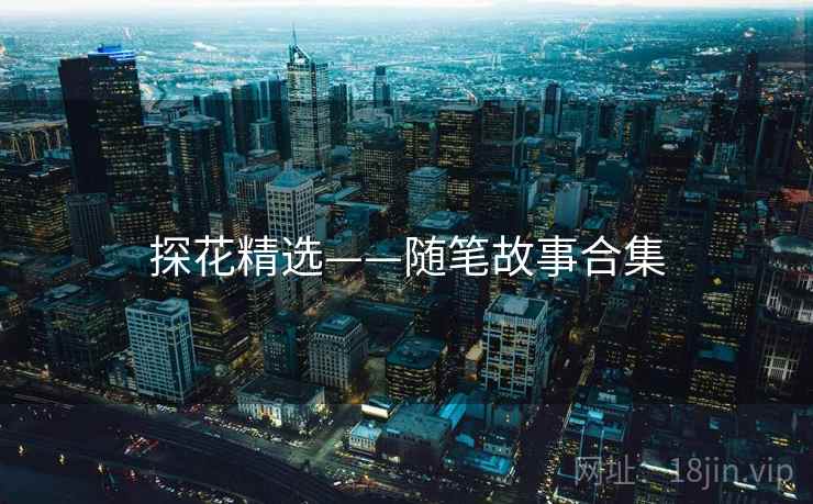 探花精选——随笔故事合集