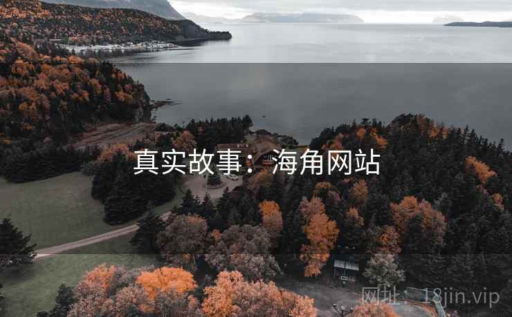真实故事：海角网站
