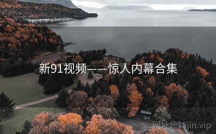 新91视频——惊人内幕合集