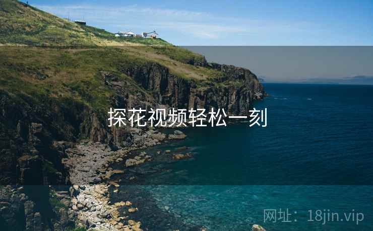探花视频轻松一刻