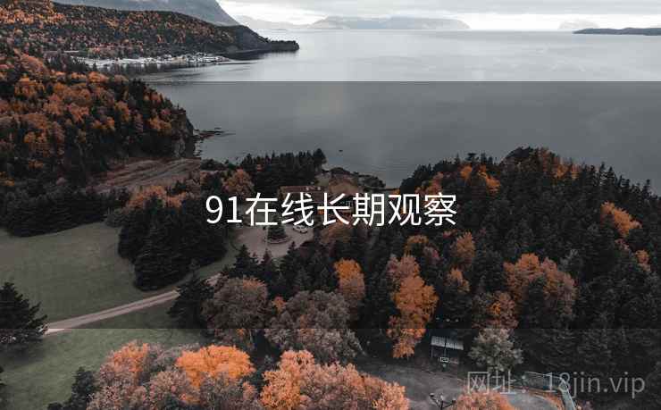 91在线长期观察