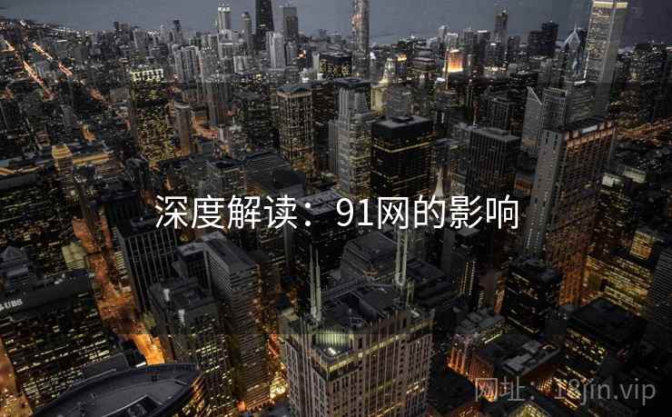 深度解读：91网的影响