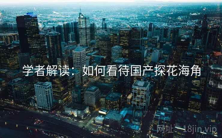 学者解读：如何看待国产探花海角